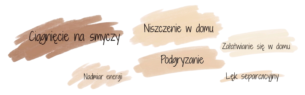 Psie problemy: Ciągnięcie na smyczy; Niszczenie w domu; Załatwianie się w domu; Nadmiar energii; Podgryzanie; Lęk Separacyjny.